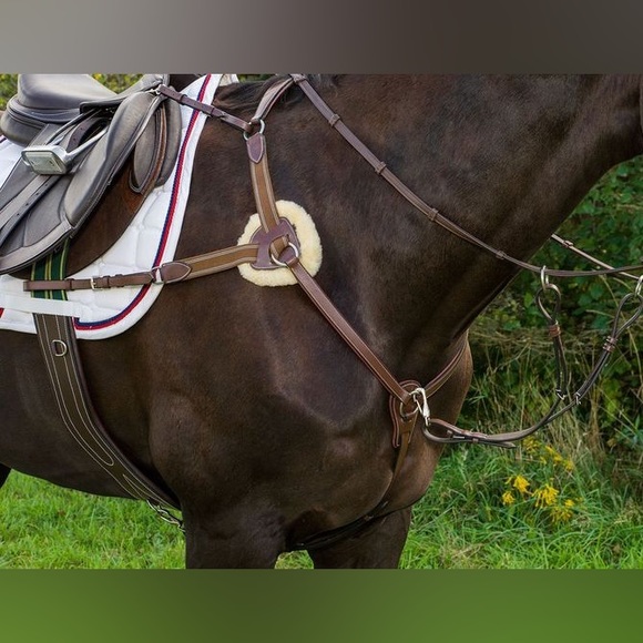 HDR PRO 5 POINT BREASTPLATE - Picture 3 of 3